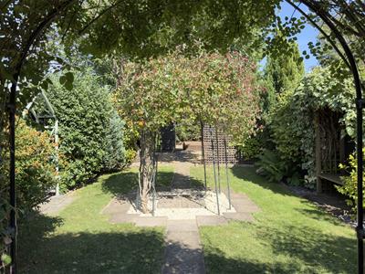 Picture 31
